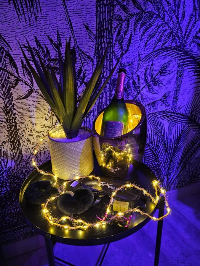 Passion - Jacuzzi - Table De Massage - 1 Apartment Saint-Etienne (Loire)