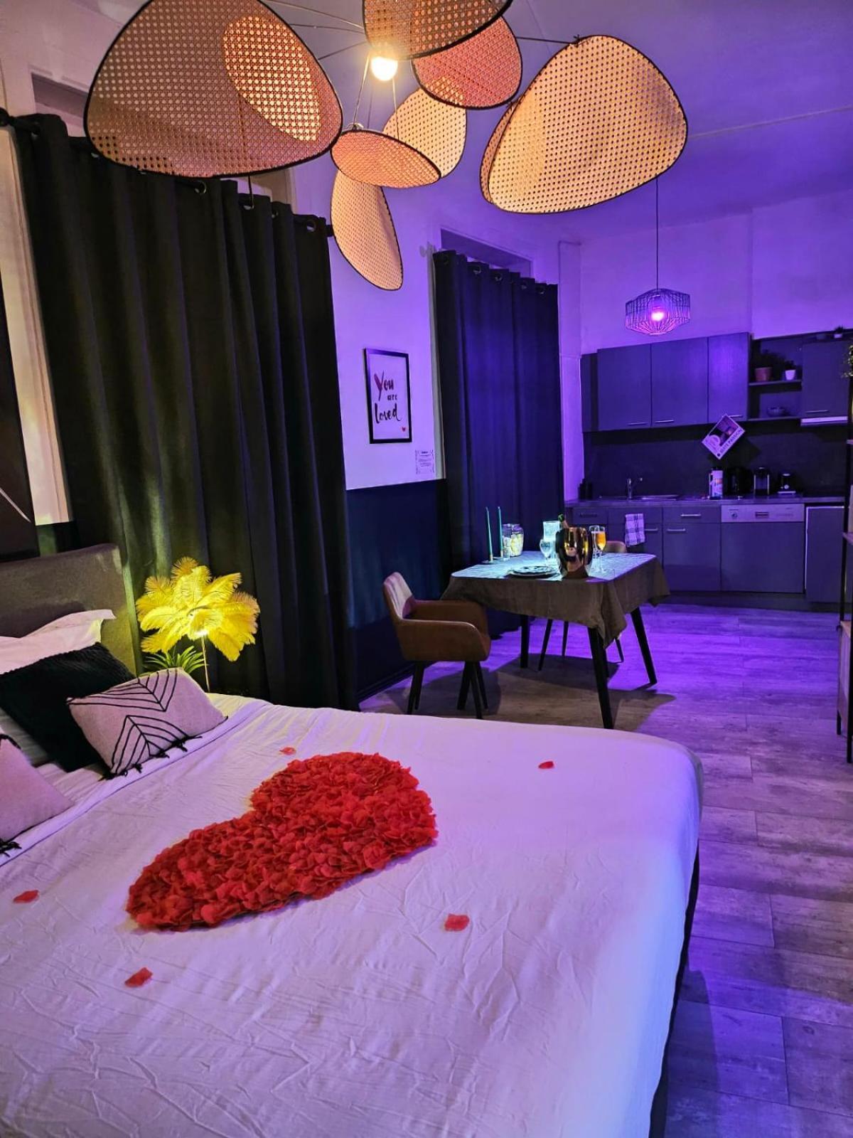Passion - Jacuzzi - Table De Massage - 1 Apartment Saint-Etienne (Loire)